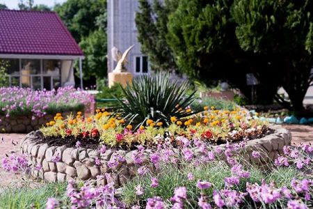 Территория